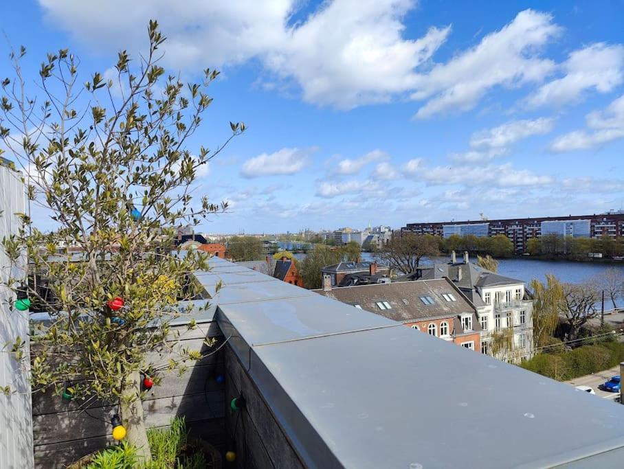 Penthouse Apartment